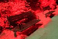 Infrarot-Fotografie, Bank im Stadtpark