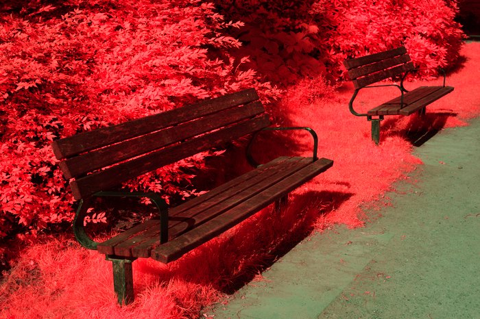 Infrarot-Fotografie 550 nm (Orangefilter), Bank im Stadtpark, Infrarot-Fotografie