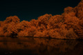 Ostufer Appelhoff-Weiher, Infrarot-Fotografie 600 nm (Rotfilter)
