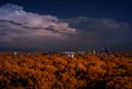 Blick vom Planetarium (1), Infrarot-Fotografie 600 nm (Rotfilter)