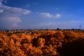 Blick vom Planetarium (2), Infrarot-Fotografie 600 nm (Rotfilter)