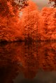 Ententeich im Stadtpark, Infrarot-Fotografie 600 nm (Rotfilter)