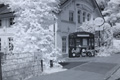 Brakula (2), Infrarot-Fotografie 830 nm
